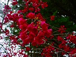 20070309 15.jpg